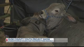 Rusk County FFA, 4-H students showing off animal projects at County Expo