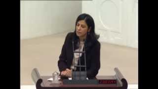 Ayla Akatın Eğitim Destek Evi Ve Ilısu Barajı Üzerine Konuşması 20.12.2012