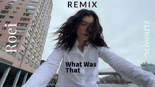 Lorde - What Was That (Roei Schwartz Remix)