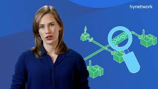De werking van het Nederlandse waterstofnetwerk