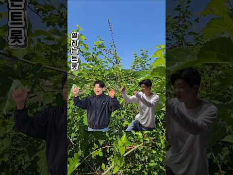 #박지현 #박지현노래 #무 #박지현무 #가수박지현 #엔돌핀 #오디