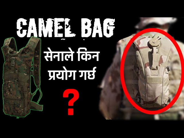 Rucksacks: Mil-Tec Camel Bag