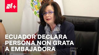 ¿Por qué declaró Ecuador persona non grata a la embajadora de México, Raquel Serur? - En Punto