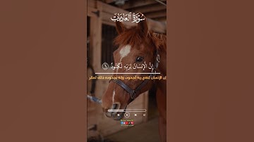 ارح سمعك اجعل القران الكريم ربيع قلوبنا #quran #المصحف #اكسبلور #لايك #short #shortvideo #subscribe