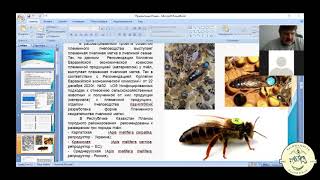Племенная пчелиная матка - основа планирования СПР с пчелиными семьями