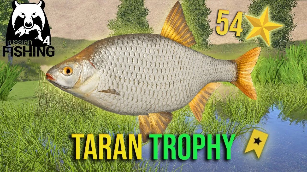 Taran Trophy at Seversky Donets - Russian Fishing 4 