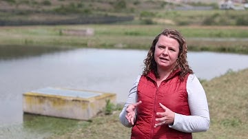 A low-cost, green solution that removes nutrients from wastewater