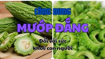 Tác dụng của Mướp Đắng đối với sức khỏe con người | SỨC KHỎE CÙNG CÁC MẸ
