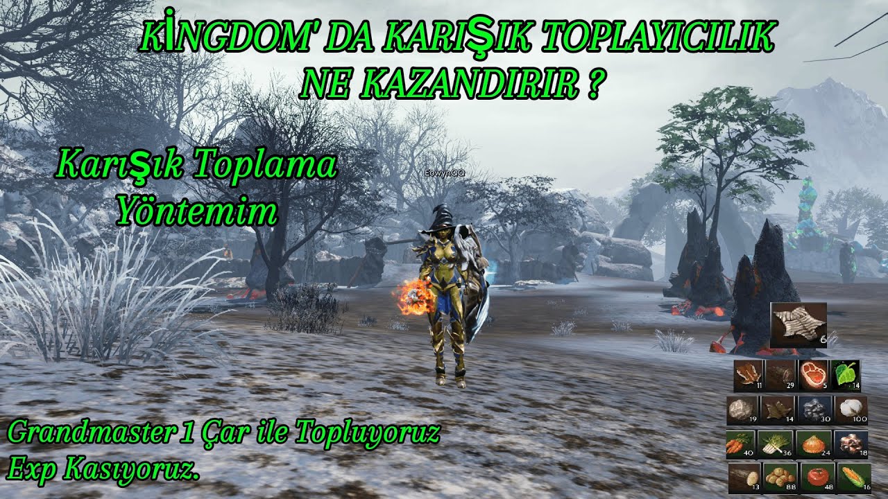 Kingdom' da Karışık Topladık Ne Kazar Kazandık ? l Exp Kastık ve Karışık Toplama Tekniğim...
