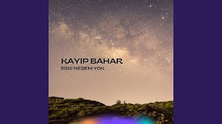 Kayıp Bahar