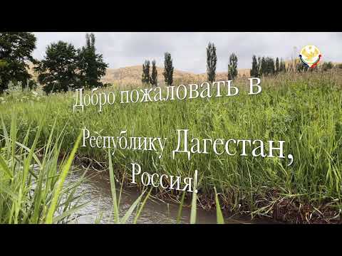 Video: Kehijauan Di Atas Bumbung: Perspektif Rusia