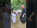 مع اغرب دكتور ممكن تشوفه في حياتك سعيد الاسطوره بيكشف علي الحمارين علشان مش عايزين يطولو 