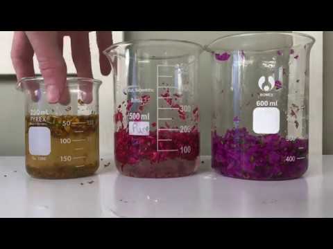 pH INDICATOR from MY BACKYARD!