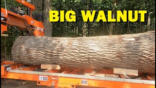Watch This Giant Black Walnut Log Get Sliced Into Boards!