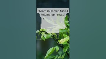 DIAM BUKAN BERARTI LEMAH #shorts #motivasi #quotes