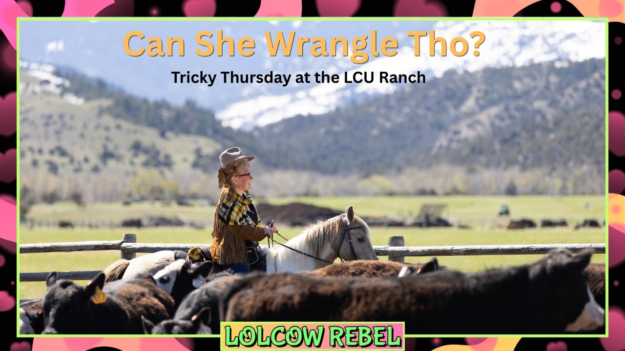TRICKY THURSDAY || IT'S WRANGLIN' TIME - YouTube
