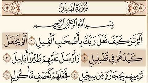 سورة الفيل لشيخ د. وليد الشمسان