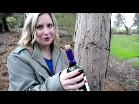 How to Open a Wine Bottle without a Corkscrew | Does it Really Work?