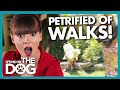 Dog 'Petrified' of Walks Gets EVEN WORSE When He Overcomes His Fear! |  It's Me or The Dog