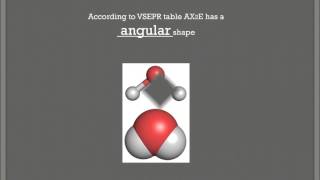 no2vsepr