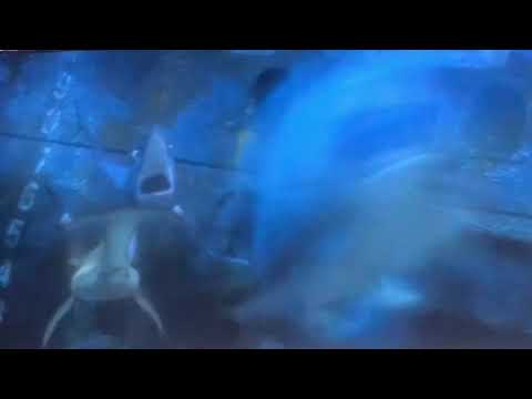 Finding Nemo mines explosions in Portuguese