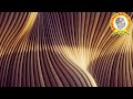 Relaxing Music For Good Sleep & Stress Free Life