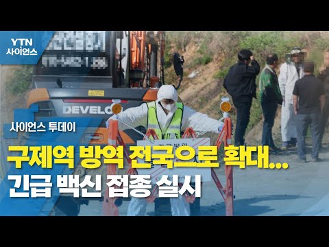 구제역 방역 전국으로 확대...긴급 백신 접종 실시 / YTN 사이언스