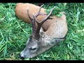 СУПЕРМЕГАТРОФЕЙ КОСУЛИ С ПОДХОДА. В СТРАНЕ КОСУЛЬ Ч3.Roebuck hunting.