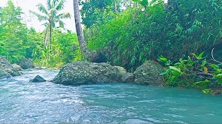 Crystal River Harmony: Relaxation for Body and Mind