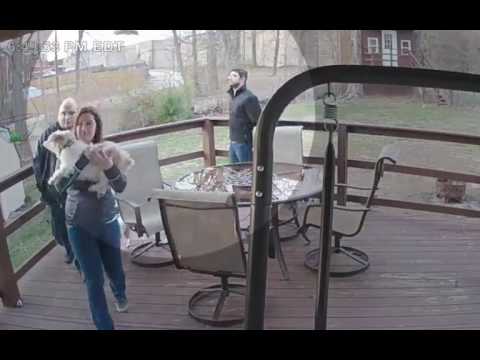Flying Squirrel Attack Captured By Kuna!