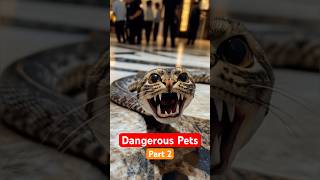 5 Animals You Should NEVER Keep As Pets 🛑 Part 2
