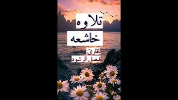 تلاوه خاشعه من سوره الشعراء بصوت القارئ فيصل الرشود