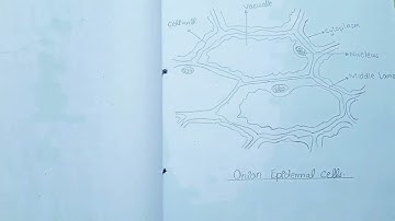 Solved Biology Practical Book of Class 11 & 12 (F.Sc) || Important Practicals Of Biology (F.Sc)