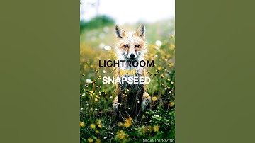 Using LIGHTROOM & SNAPSEED App and Edit Like This #lightroom#colourgrading#snapseed#shorts