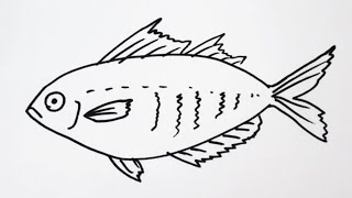 簡単 魚の描き方 イラスト お絵描き Easy How To Draw Fish Illustration Drawing Youtube