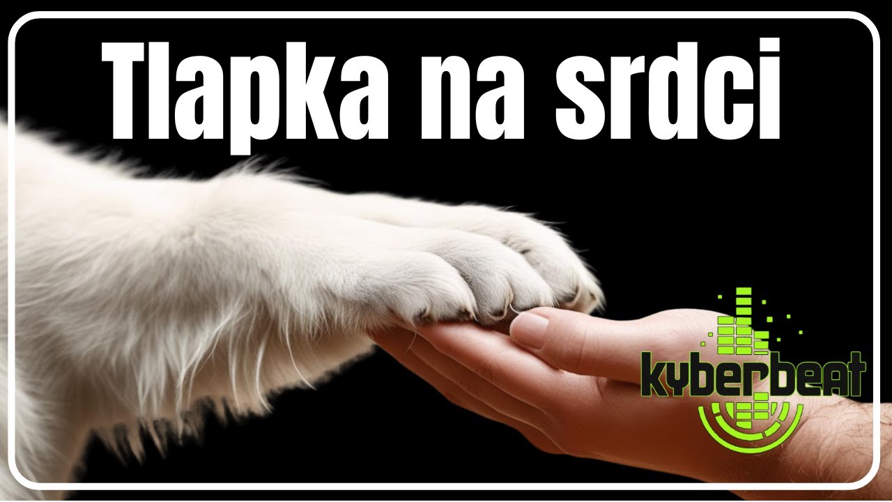 Tlapka na srdci 🐾