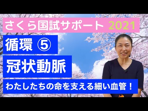 【感動する冠動脈の解説！】循環⑤「冠状動脈」【さくら国試サポート 解剖生理講義】