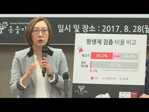동물보호단체 "개고기서 항생제…식용견 사육 막아야" / 연합뉴스TV (YonhapnewsTV)