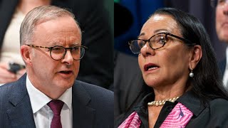 ‘People are scared’: Albanese and Burney doing a ‘hopeless job’ explaining the Voice