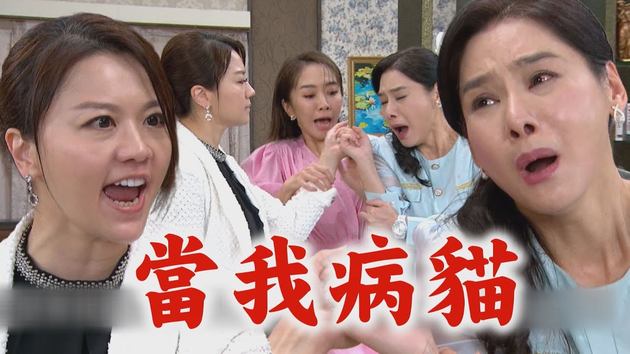 【願望】EP69 淑鳳推素月.阿曼達落水逼耀武二選一 初戀情人身分被迫揭曉正宮生氣走人｜完全娛樂