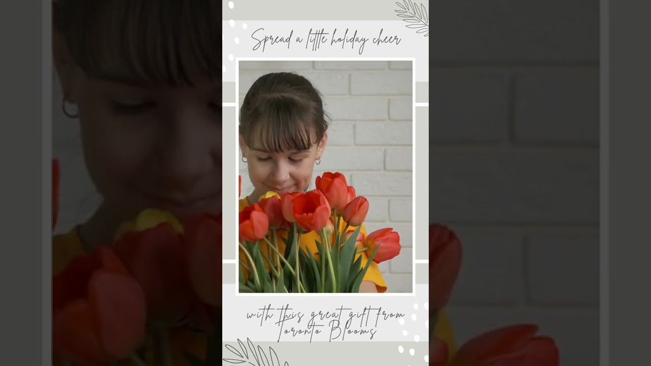 Toronto Blooms | Toronto Flower Delivery | Christmas Flowers