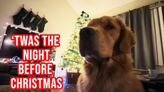 DOGS READ THE NIGHT BEFORE CHRISTMAS | DOGMAS #24