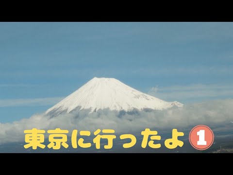 東京に行ったよ【I went to Tokyo】