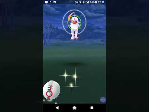 【ポケモンGO】アブソル 色違い