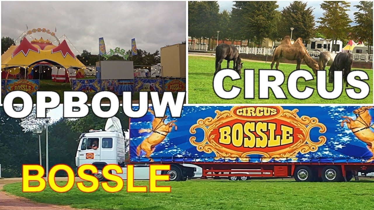 OPBOUW CIRCUS  BOSSLE 2023 - BERGEN OP ZOOM 