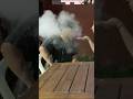el reto de la botella con retos ESTOY EN EXTENSIBLE