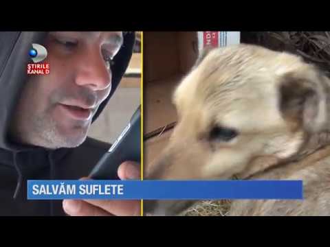 Stirile Kanal D (22.05.2017) - Rubrica: