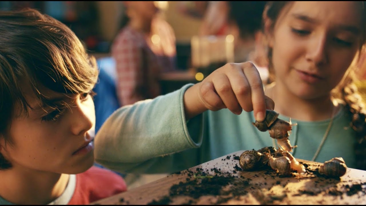 Clean & Healthy Clasroom by Clorox