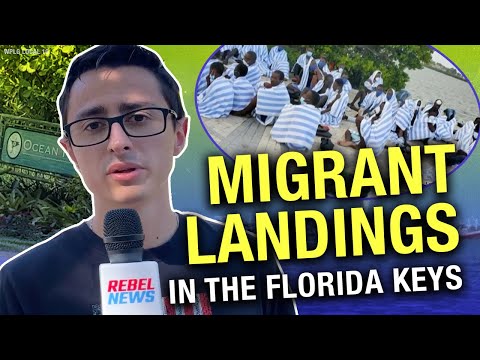 263 migrants taken into custody in Florida since Friday, Aug. 5