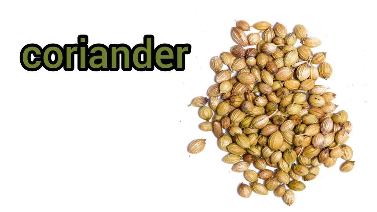 How to Pronounce Coriander in British English YouTube